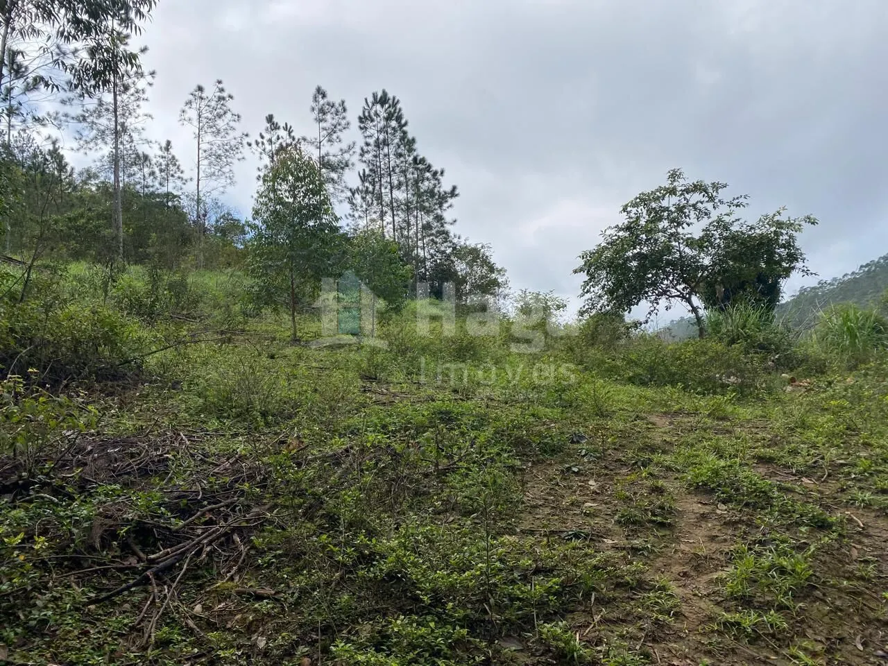 Fazenda à venda de 7 ha em Nova Trento, SC, Brasil