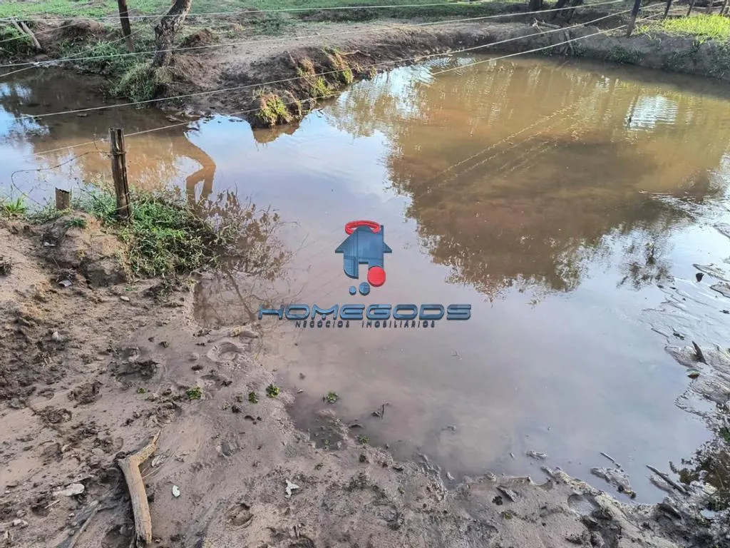 Fazenda à venda de 109 ha em Jales, SP, Brasil