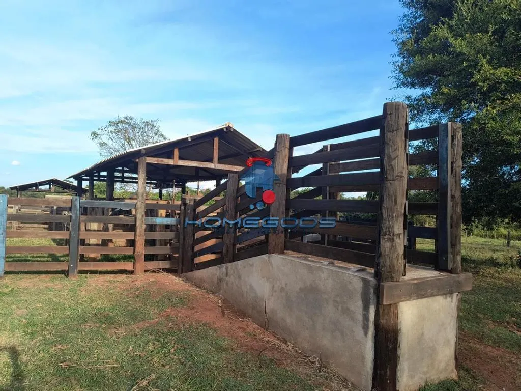 Fazenda à venda de 109 ha em Jales, SP, Brasil