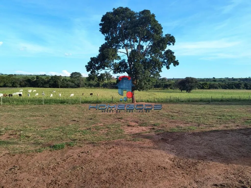 Fazenda à venda de 109 ha em Jales, SP, Brasil