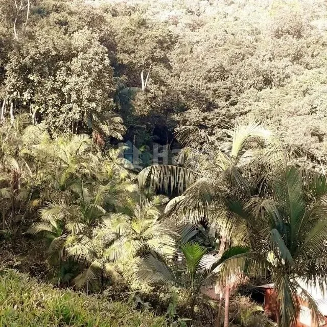 Chácara à venda de 6 ha em Brusque, SC, Brasil