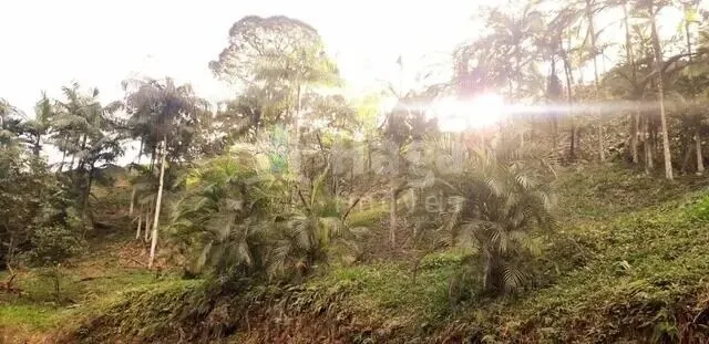 Chácara à venda de 6 ha em Brusque, SC, Brasil