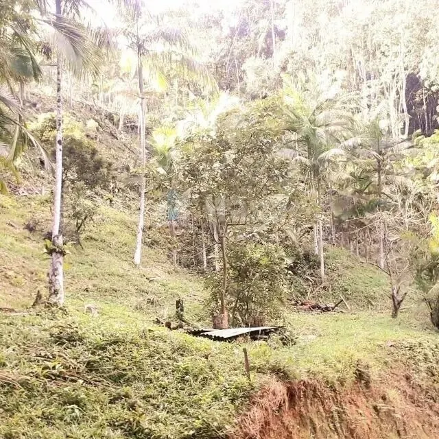 Chácara à venda de 6 ha em Brusque, SC, Brasil