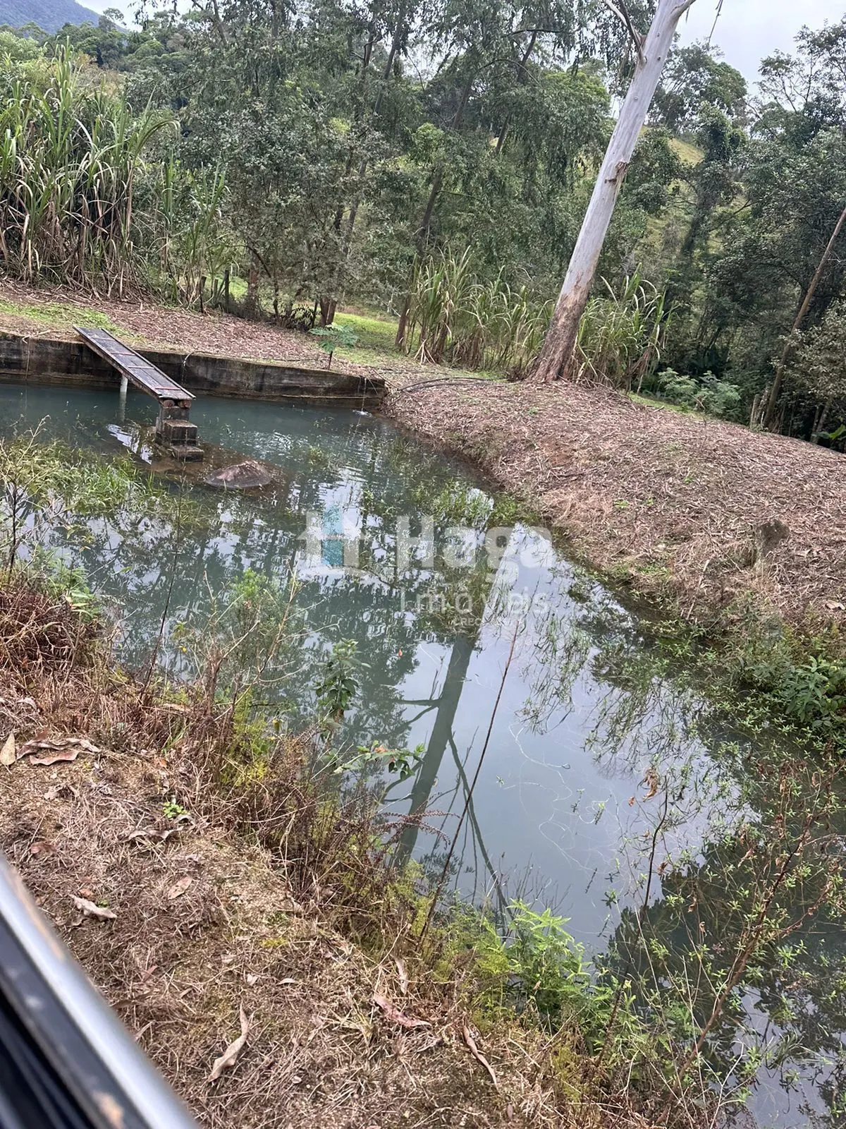 Country home for sale of 47 acres in Canelinha, SC, Brazil