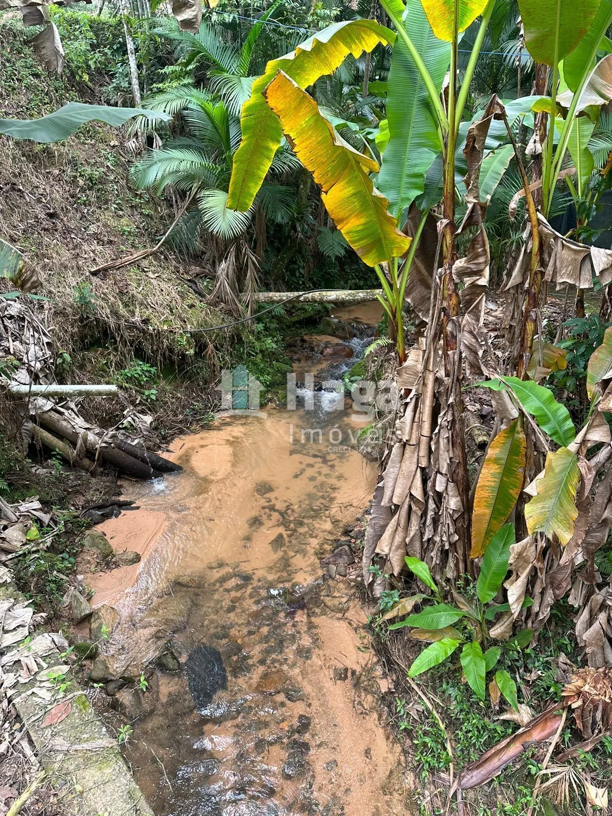 Country home for sale of 47 acres in Canelinha, SC, Brazil