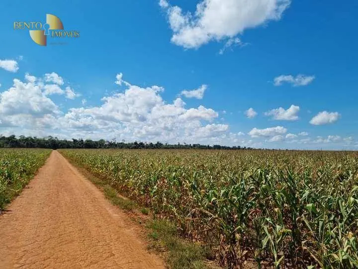 Farm for sale of 131,158 acres in Nova Ubiratã, MT, Brazil