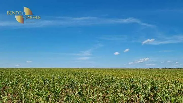 Farm for sale of 131,158 acres in Nova Ubiratã, MT, Brazil