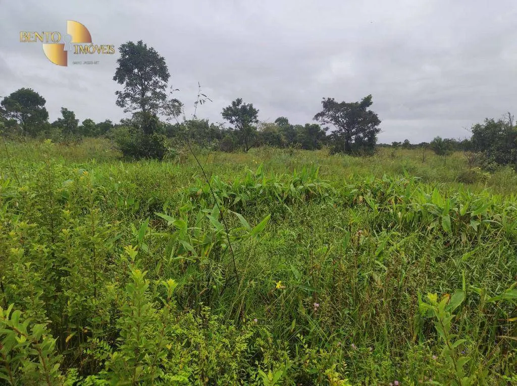 Fazenda à venda de 580 ha em Poconé, MT, Brasil