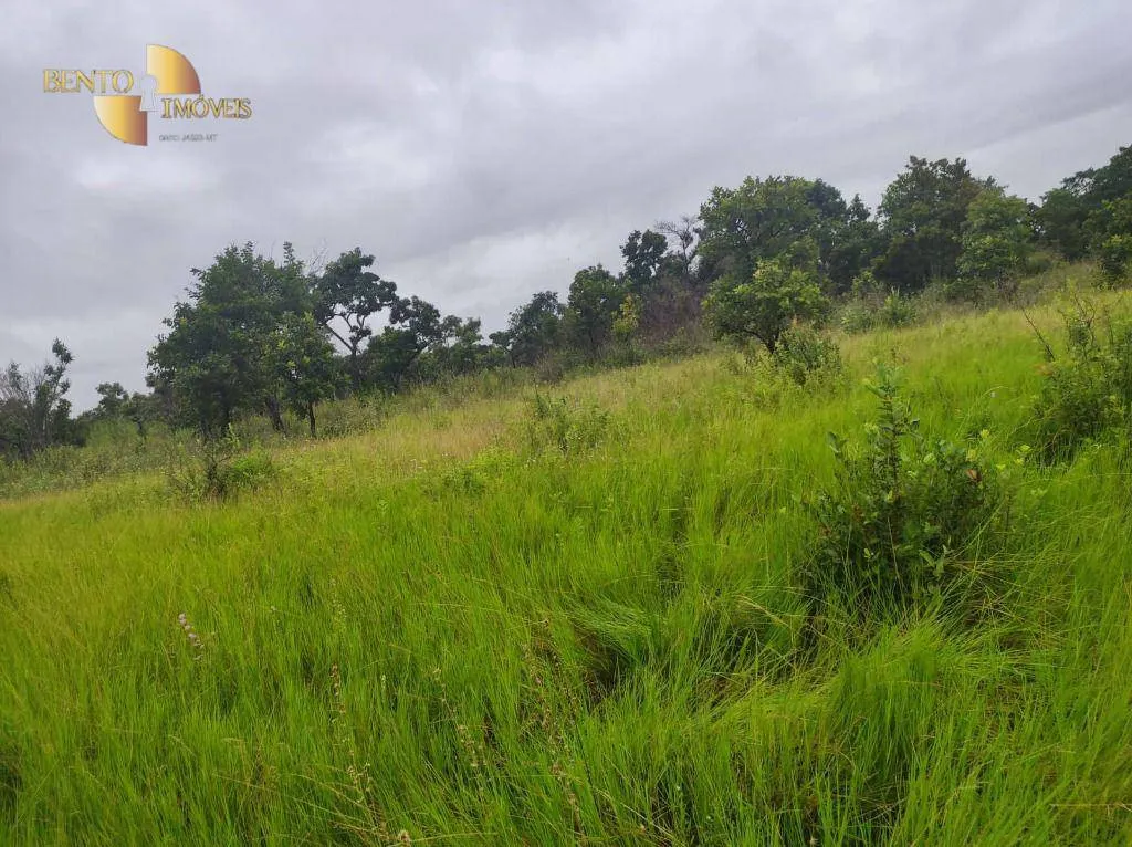 Fazenda à venda de 580 ha em Poconé, MT, Brasil
