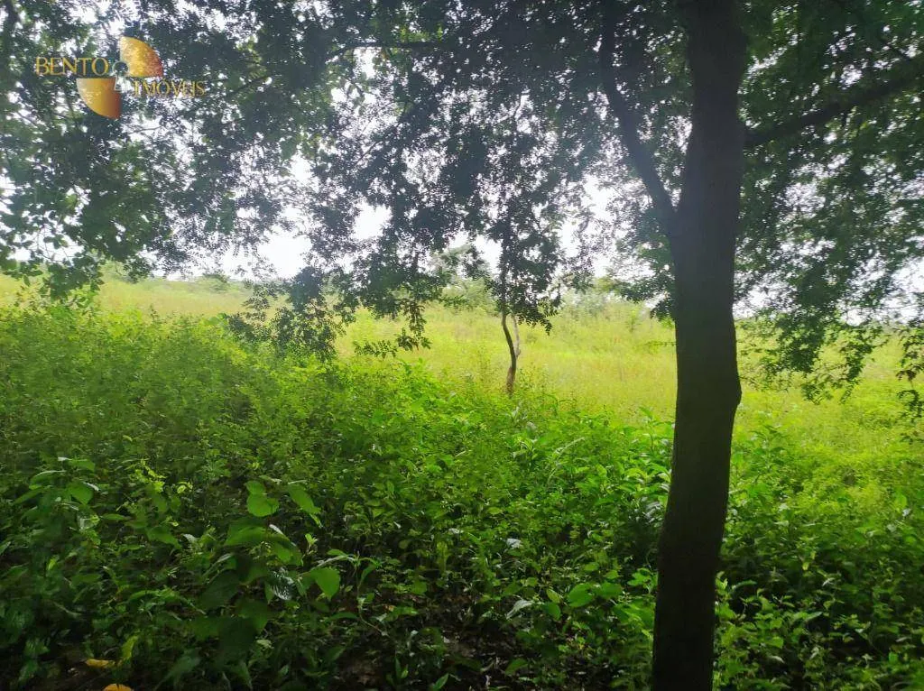 Fazenda à venda de 580 ha em Poconé, MT, Brasil