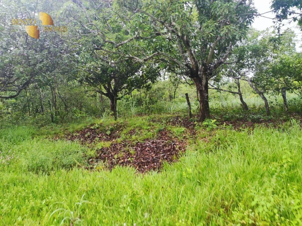 Fazenda à venda de 580 ha em Poconé, MT, Brasil