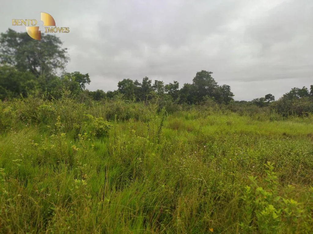Fazenda à venda de 580 ha em Poconé, MT, Brasil