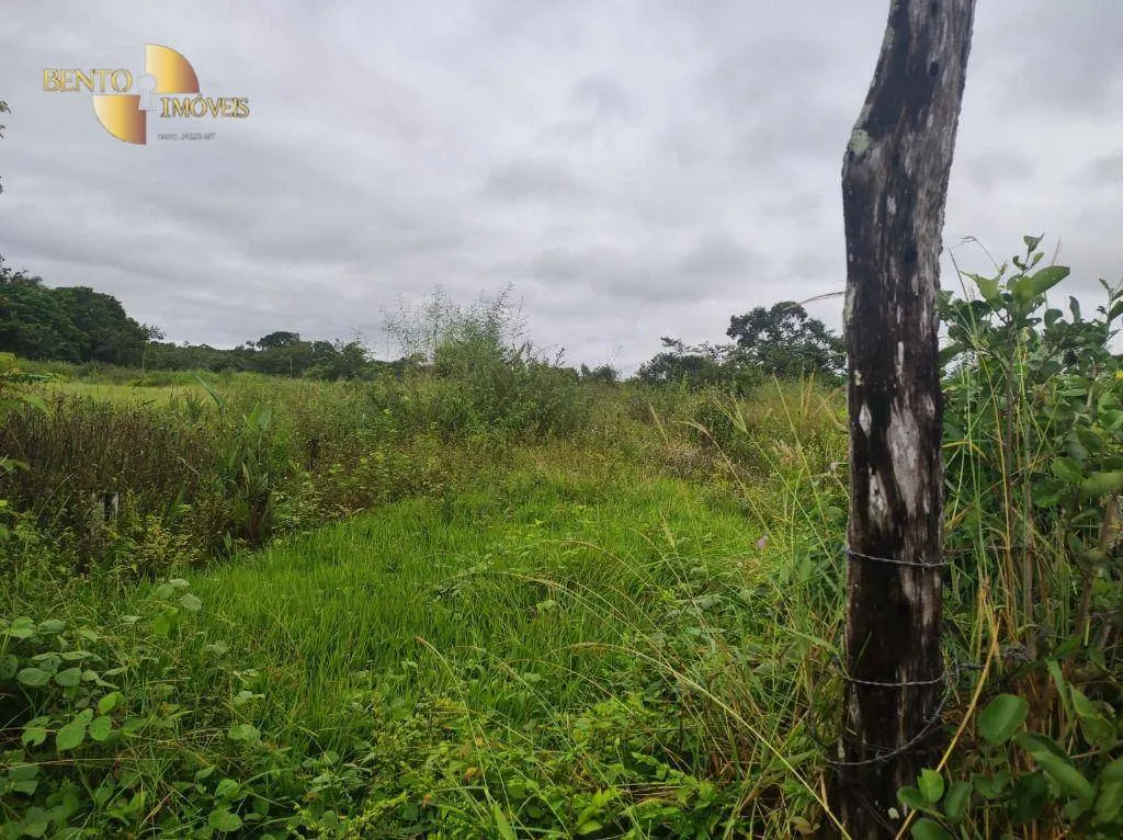 Fazenda à venda de 580 ha em Poconé, MT, Brasil