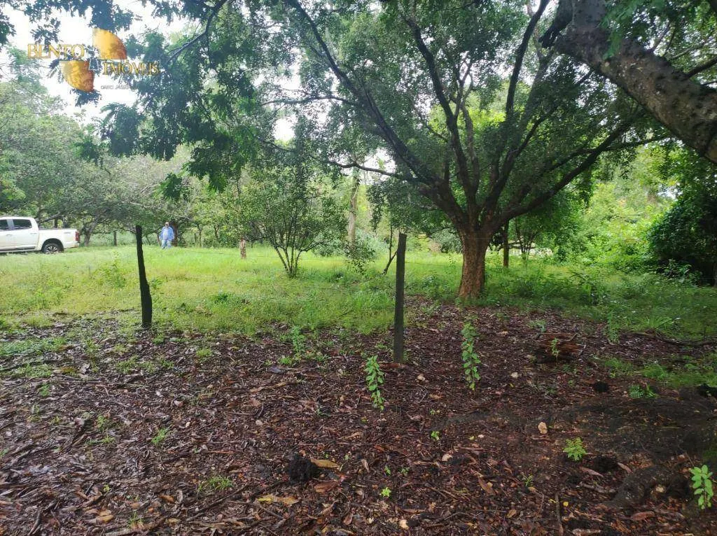 Fazenda à venda de 580 ha em Poconé, MT, Brasil
