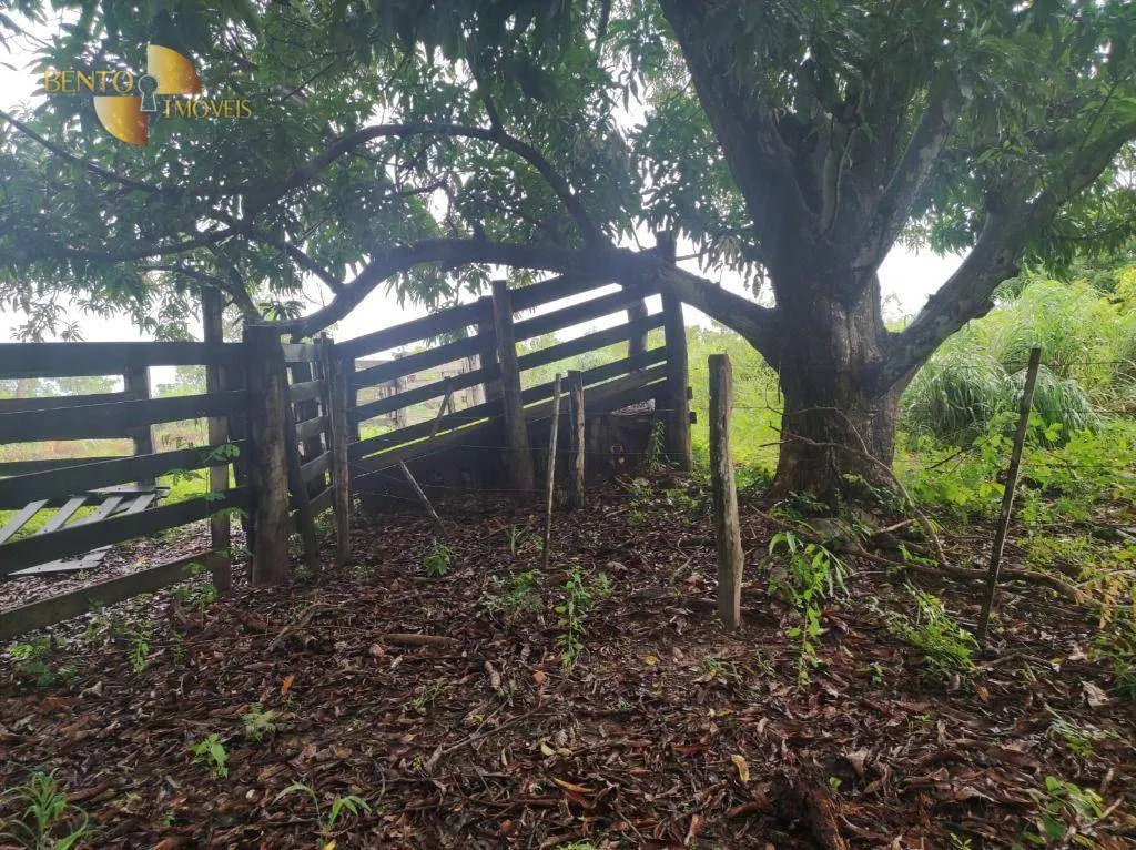 Fazenda à venda de 580 ha em Poconé, MT, Brasil
