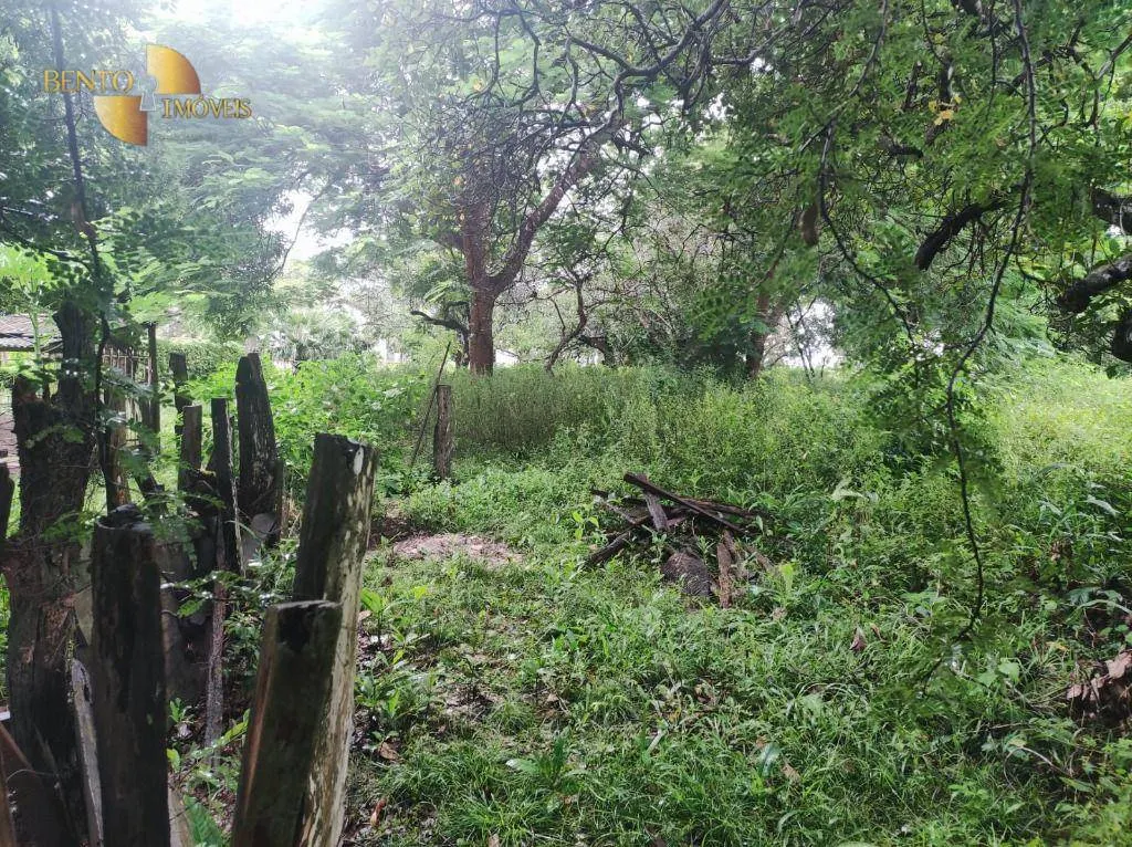 Fazenda à venda de 580 ha em Poconé, MT, Brasil