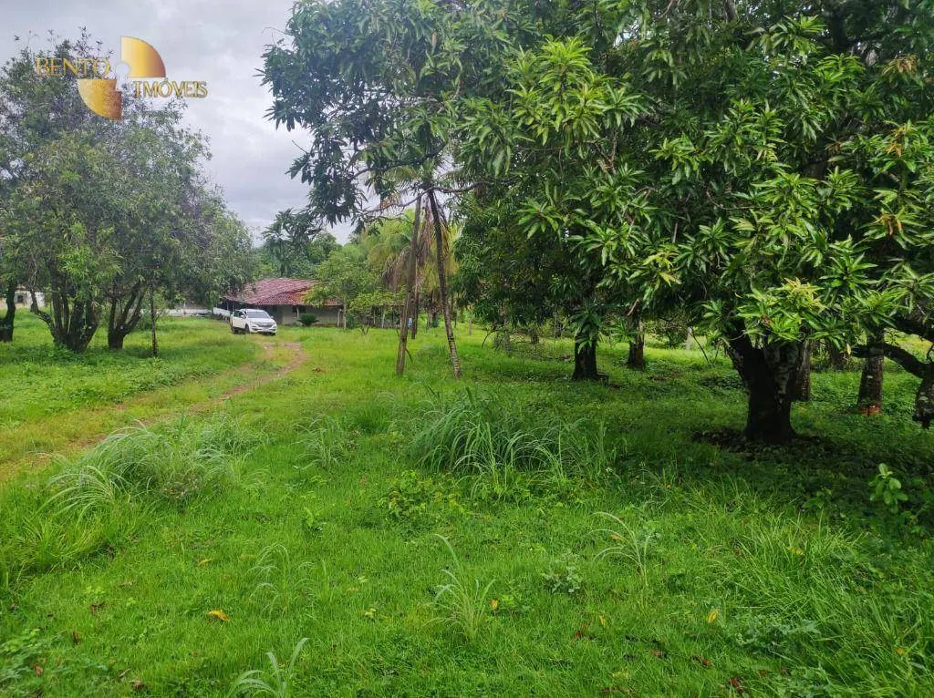 Fazenda à venda de 580 ha em Poconé, MT, Brasil