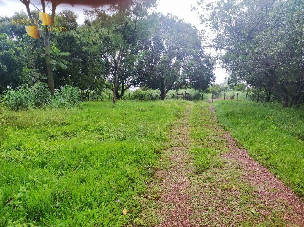 Fazenda à venda de 580 ha em Poconé, MT, Brasil