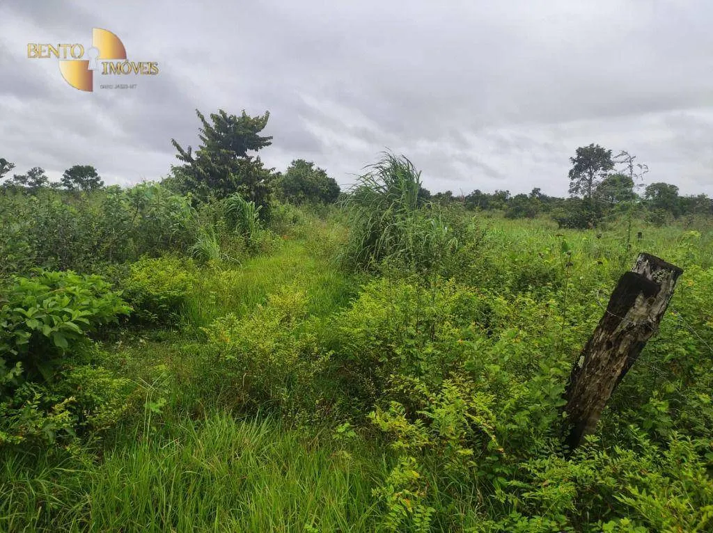 Fazenda à venda de 580 ha em Poconé, MT, Brasil