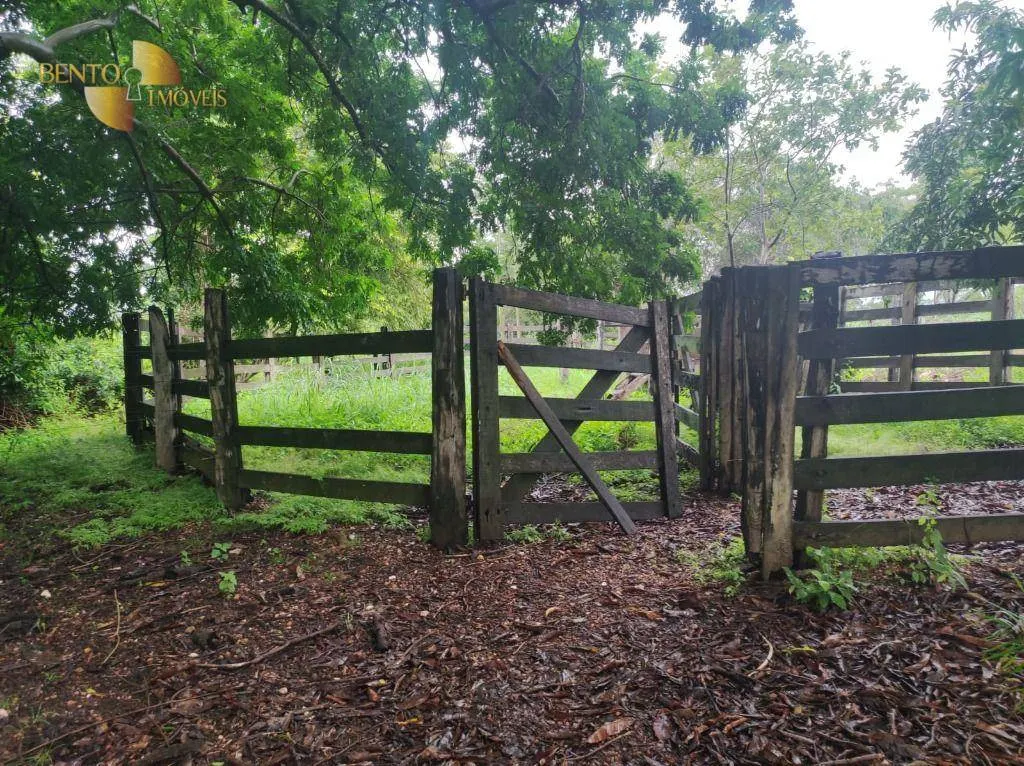 Fazenda à venda de 580 ha em Poconé, MT, Brasil