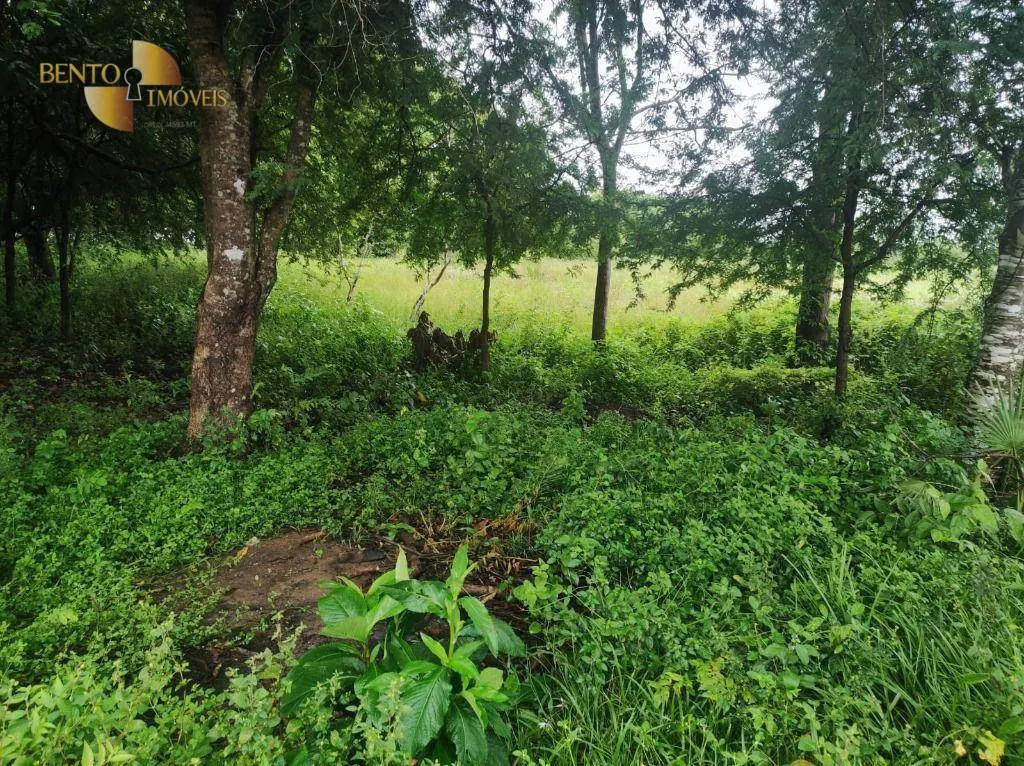 Fazenda à venda de 580 ha em Poconé, MT, Brasil