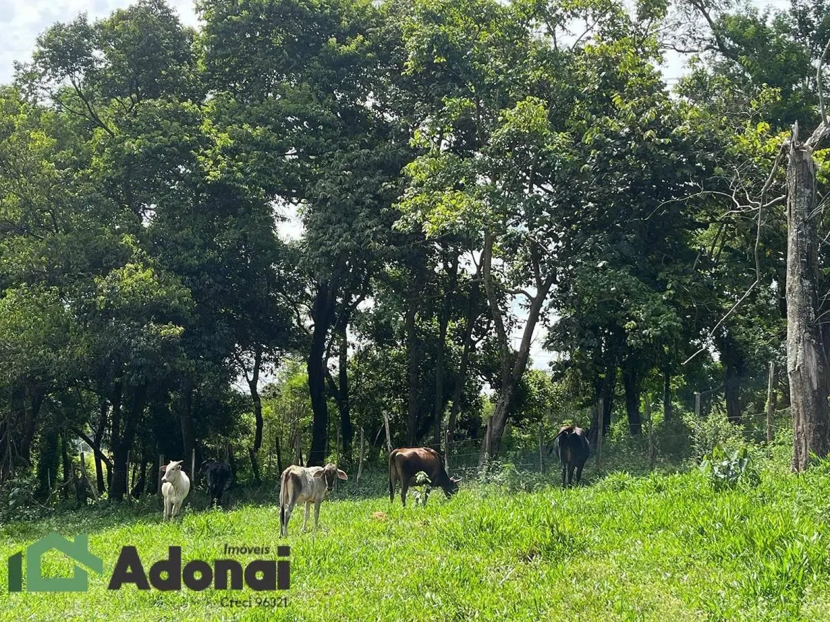Fazenda à venda de 48.000 ha em Jundiaí, SP, Brasil
