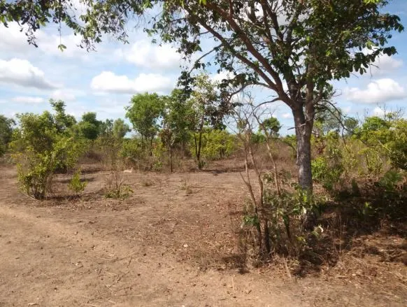 Fazenda à venda de 5.067 ha em Rio Sono, TO, Brasil