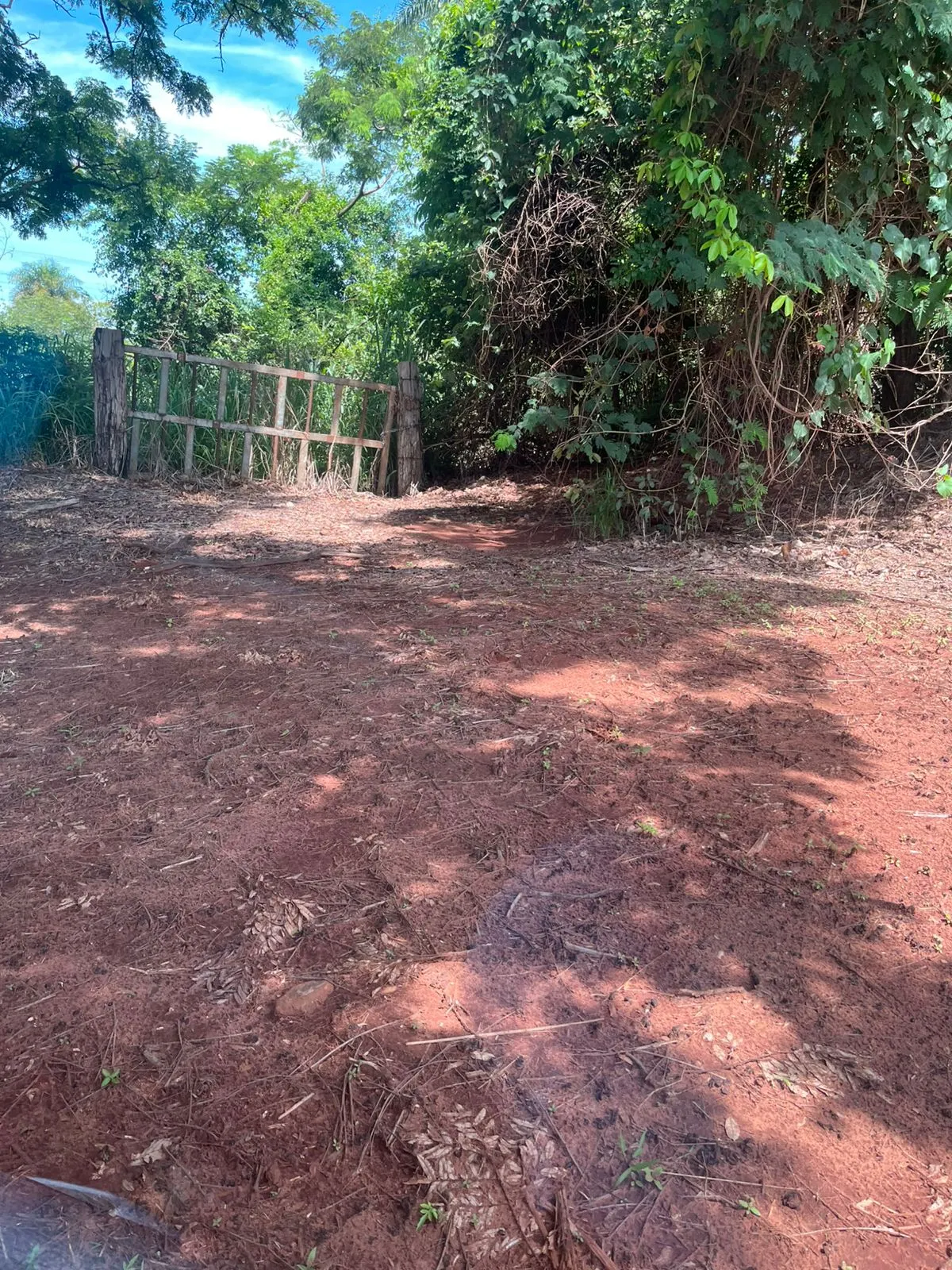 Fazenda à venda de 138 ha em Ribeirão Preto, SP, Brasil