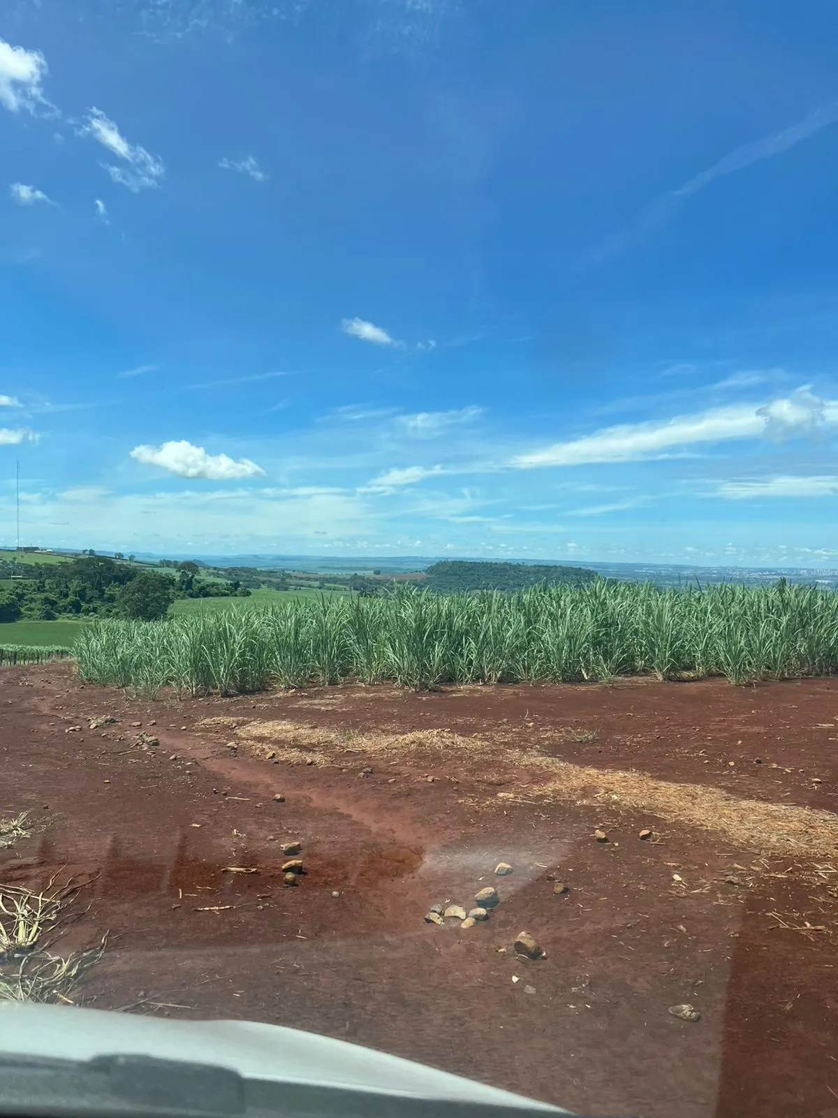 Fazenda à venda de 138 ha em Ribeirão Preto, SP, Brasil