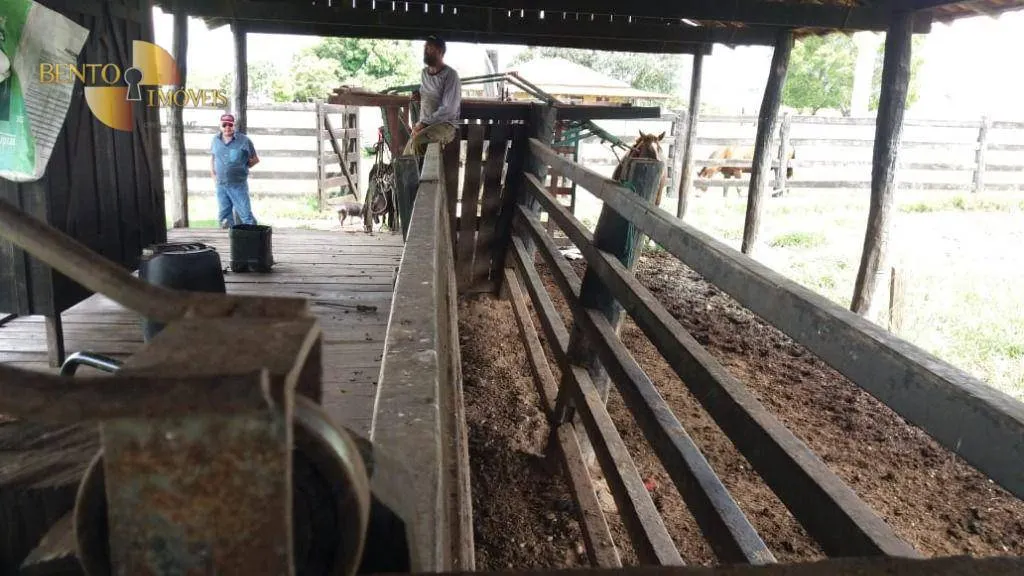Fazenda à venda de 1.234 ha em Nova Brasilândia, MT, Brasil