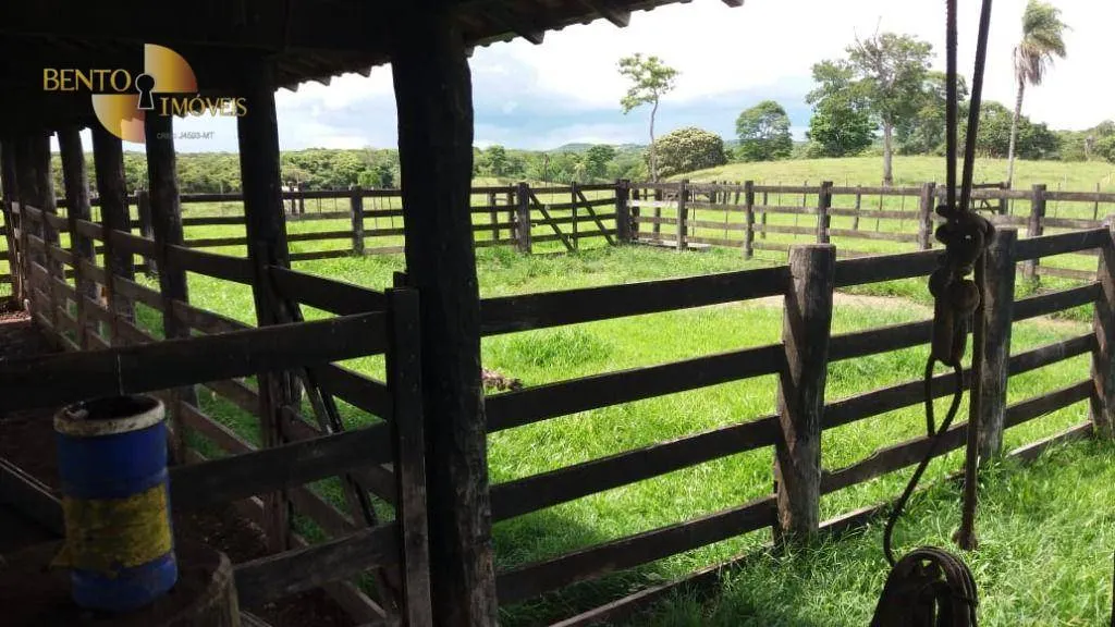 Fazenda à venda de 1.234 ha em Nova Brasilândia, MT, Brasil