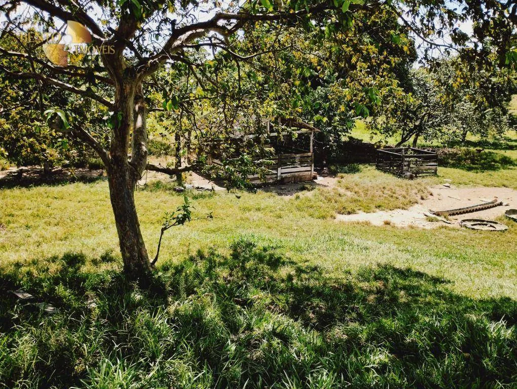 Fazenda à venda de 1.234 ha em Nova Brasilândia, MT, Brasil