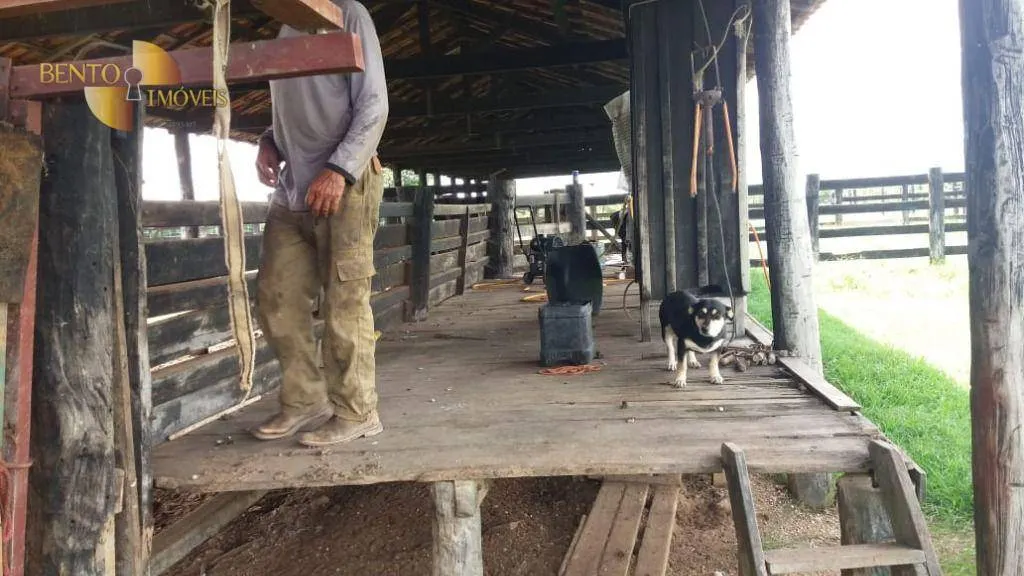 Fazenda à venda de 1.234 ha em Nova Brasilândia, MT, Brasil