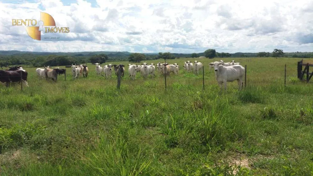 Fazenda à venda de 1.234 ha em Nova Brasilândia, MT, Brasil