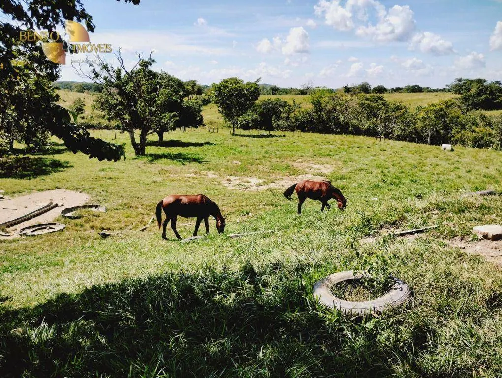 Fazenda à venda de 1.234 ha em Nova Brasilândia, MT, Brasil