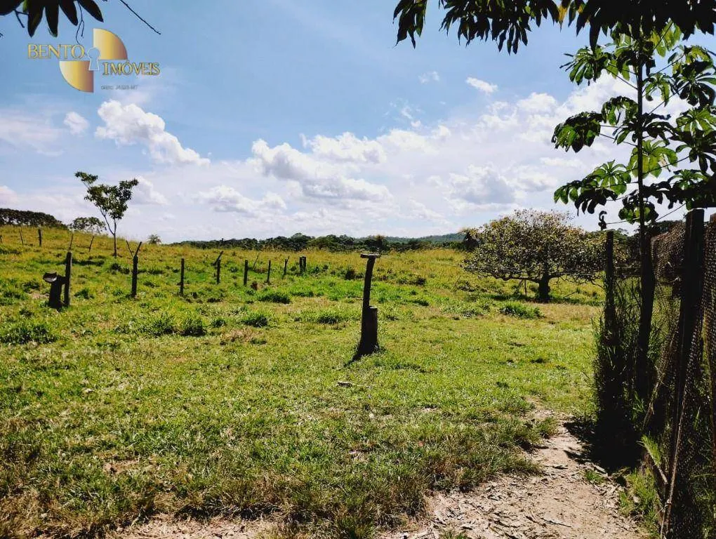 Fazenda à venda de 1.234 ha em Nova Brasilândia, MT, Brasil