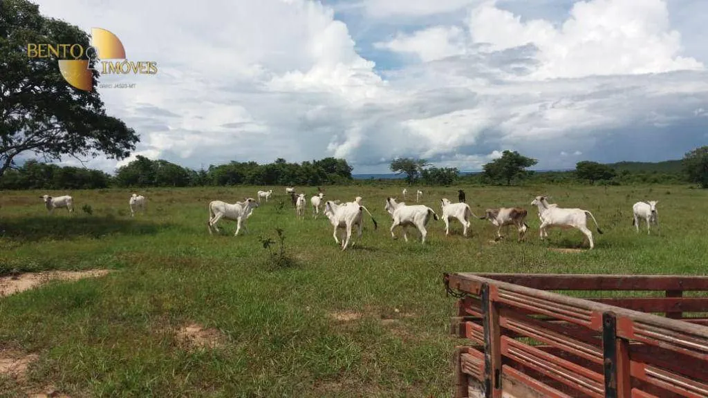 Fazenda à venda de 1.234 ha em Nova Brasilândia, MT, Brasil