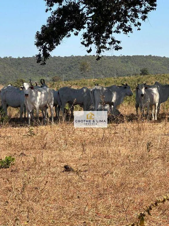 Farm for sale of 2,861 acres in Novo São Joaquim, MT, Brazil