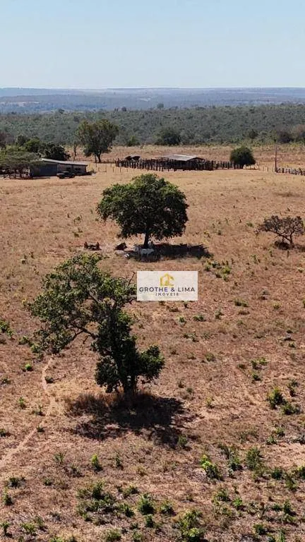 Fazenda à venda de 1.158 ha em Novo São Joaquim, MT, Brasil