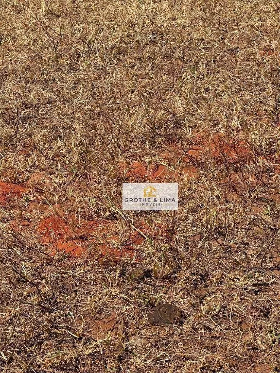 Farm for sale of 2,861 acres in Novo São Joaquim, MT, Brazil