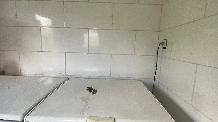 Sítio à venda de 10 ha em Parobé, RS, Brasil
