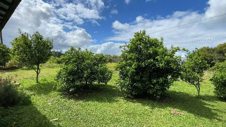 Sítio à venda de 10 ha em Parobé, RS, Brasil