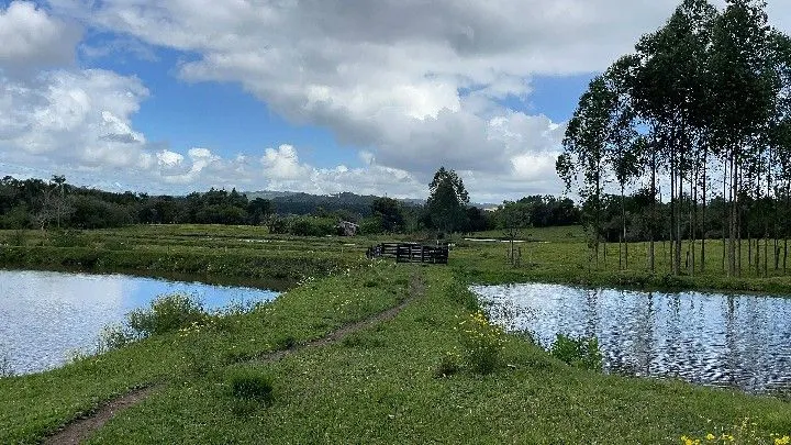Sítio à venda de 10 ha em Parobé, RS, Brasil