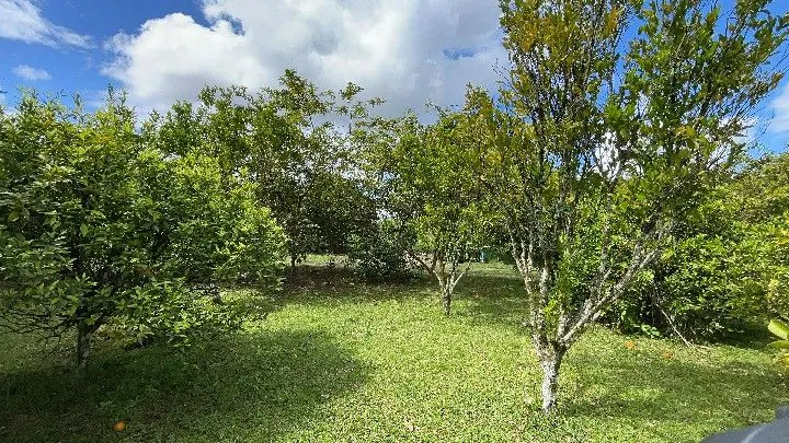 Sítio à venda de 10 ha em Parobé, RS, Brasil