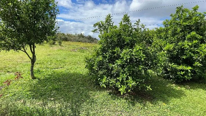 Sítio à venda de 10 ha em Parobé, RS, Brasil