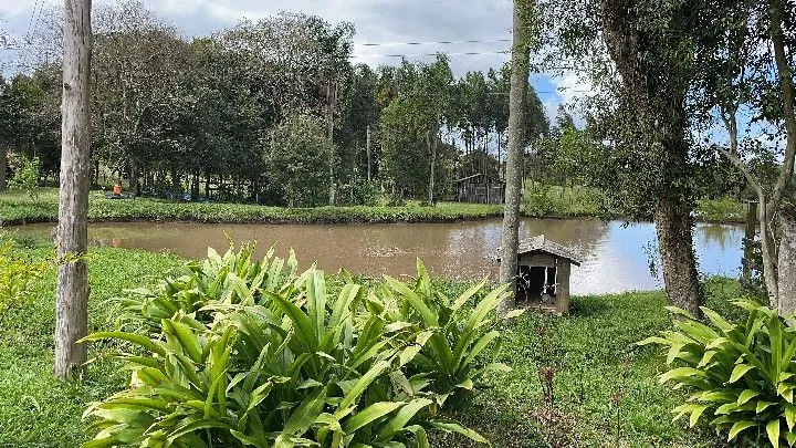 Sítio à venda de 10 ha em Parobé, RS, Brasil
