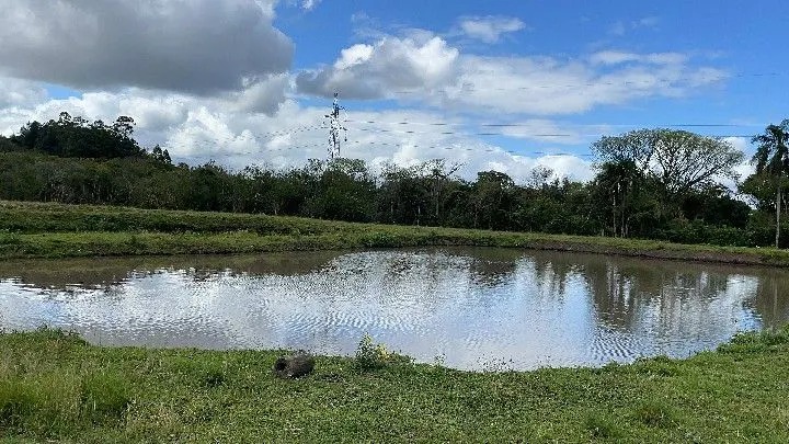 Sítio à venda de 10 ha em Parobé, RS, Brasil