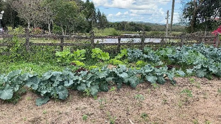 Sítio à venda de 10 ha em Parobé, RS, Brasil