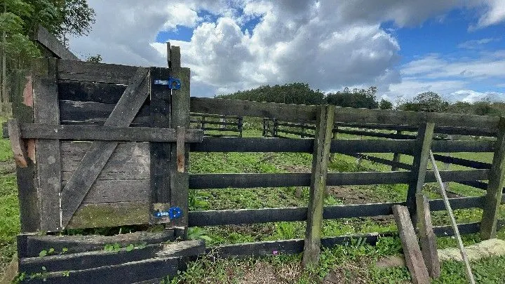 Sítio à venda de 10 ha em Parobé, RS, Brasil