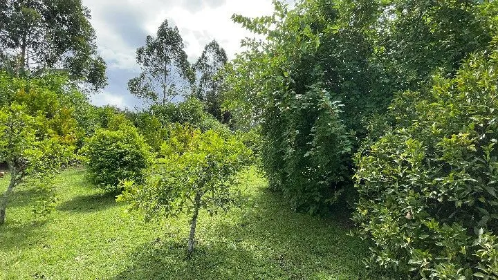Sítio à venda de 10 ha em Parobé, RS, Brasil